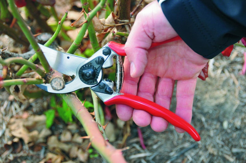 Felco Pruning Shears (F 11) - High Performance Swiss Made One-Hand Garden Pruner with Steel Blade - Image 2